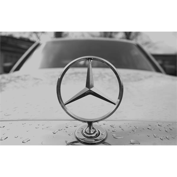 MERCEDES E CLASS W123 W124 MOTOR KAPUT AMBLEMİ YILDIZ LOGO